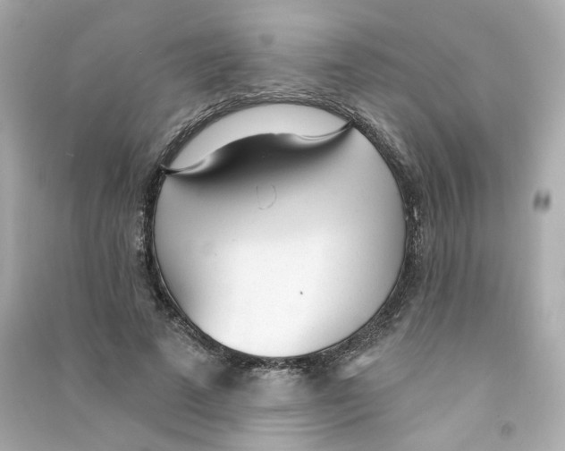 X0000090460689200708102112
