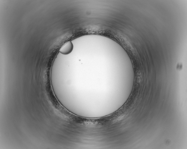 X0000090460690200708102112