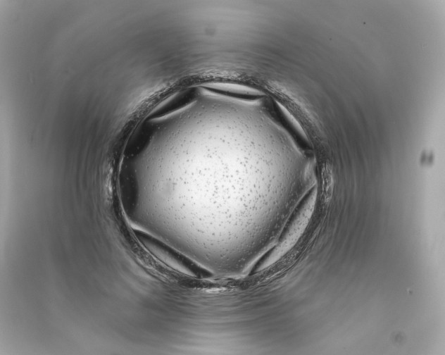 X0000090460692200708102111