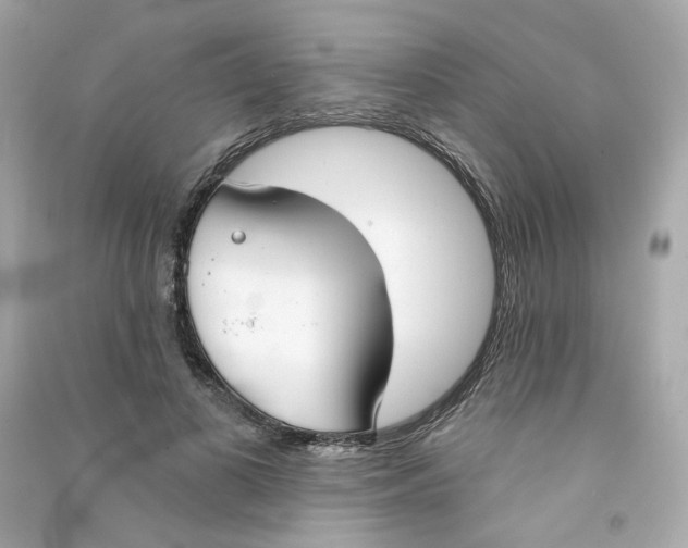 X0000090460693200708102111