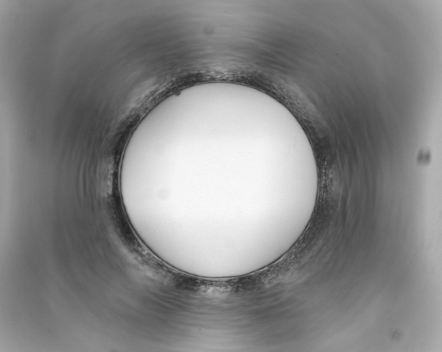 X0000090460694200708102111