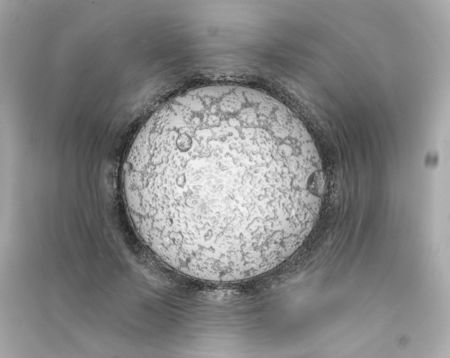 X0000090460695200708102111