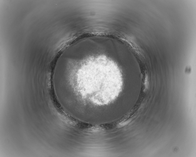 X0000090460696200708102111
