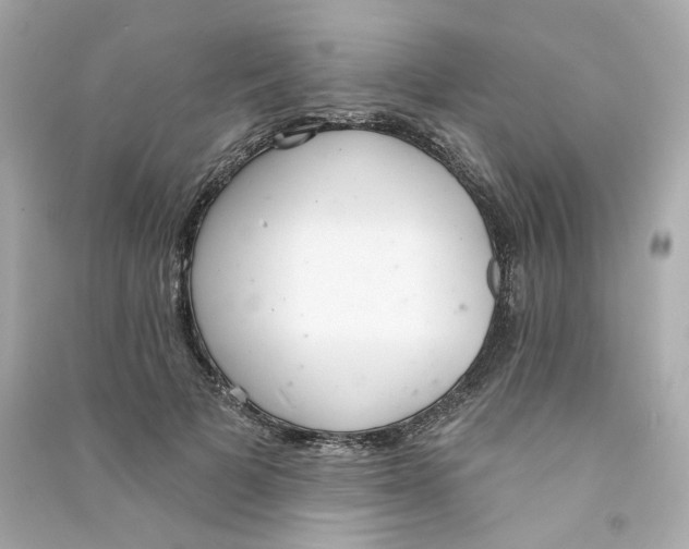 X0000090460697200708102111