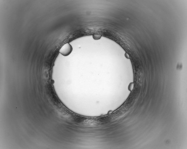 X0000090460699200708102111