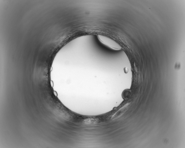 X0000090460700200708102111