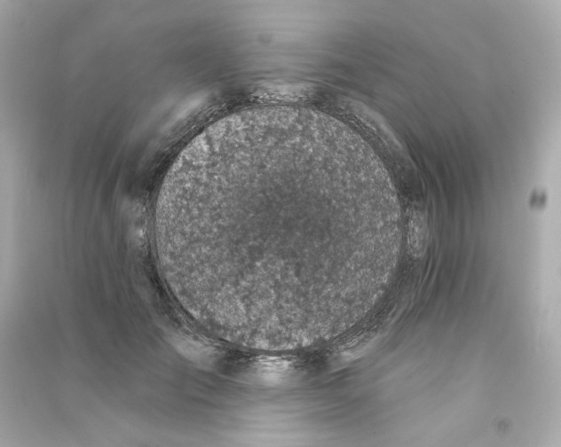 X0000090460701200708102111
