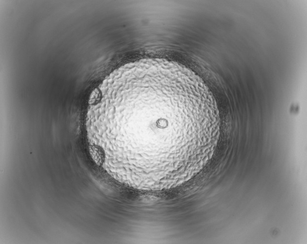 X0000090460703200708102111