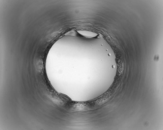 X0000090460704200708102111