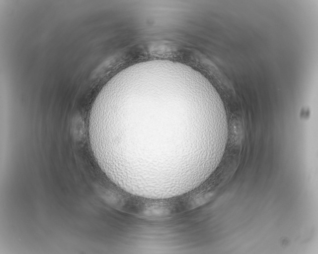 X0000090460705200708102111