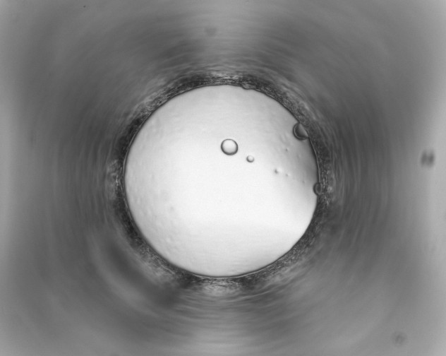 X0000090460707200708102111