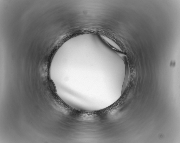 X0000090460708200708102111