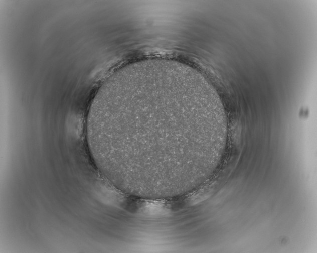 X0000090460709200708102111
