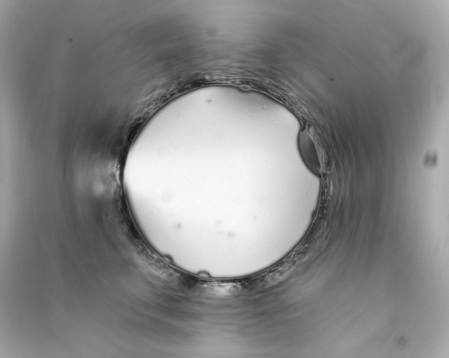X0000090460711200708102111
