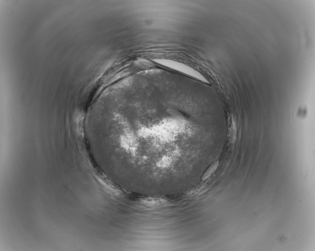 X0000090460712200708102111