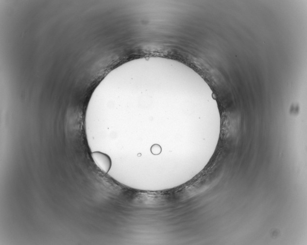 X0000090460713200708102111
