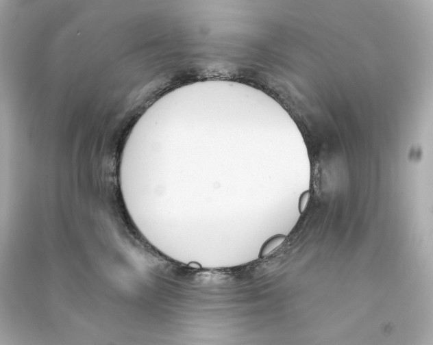 X0000090460714200708102111