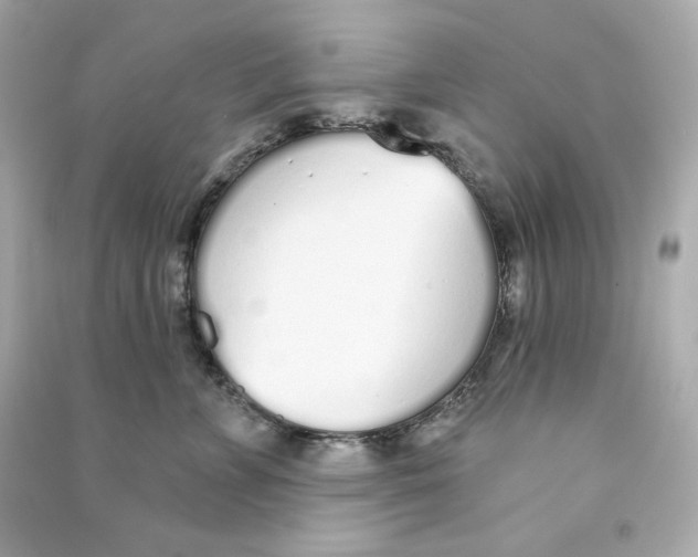 X0000090460715200708102111