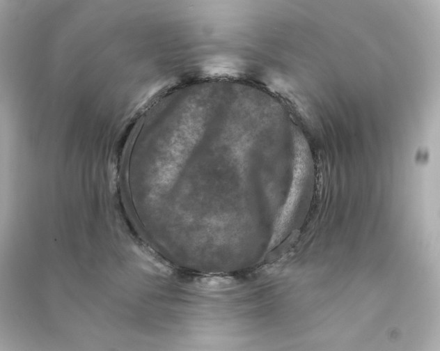 X0000090460716200708102111