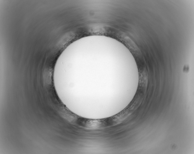 X0000090460717200708102111