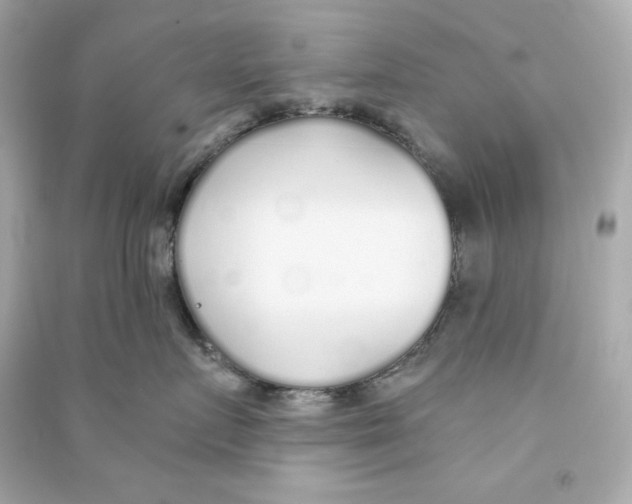 X0000090460719200708102111
