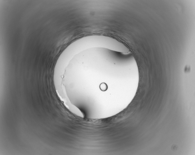 X0000090460720200708102111