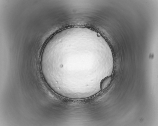 X0000090460721200708102110