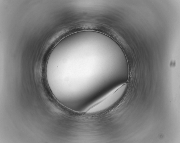 X0000090460722200708102110