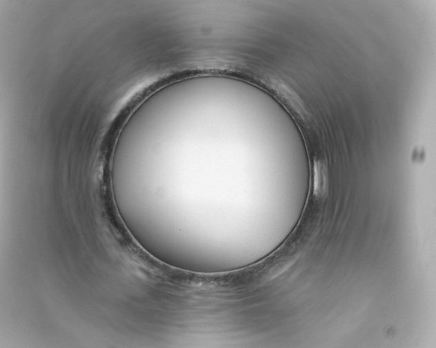 X0000090460723200708102110