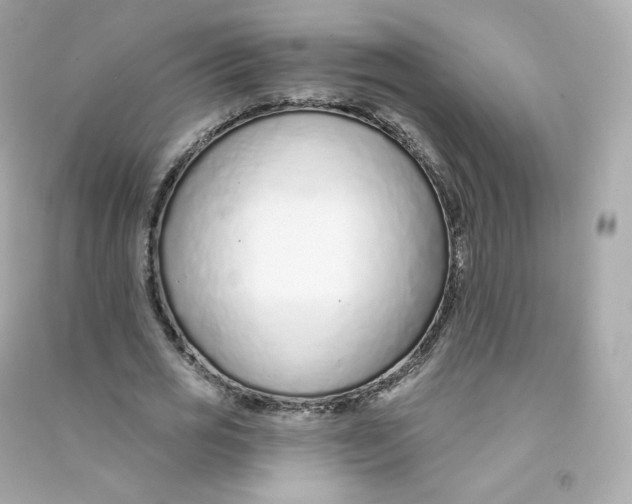 X0000090460725200708102110