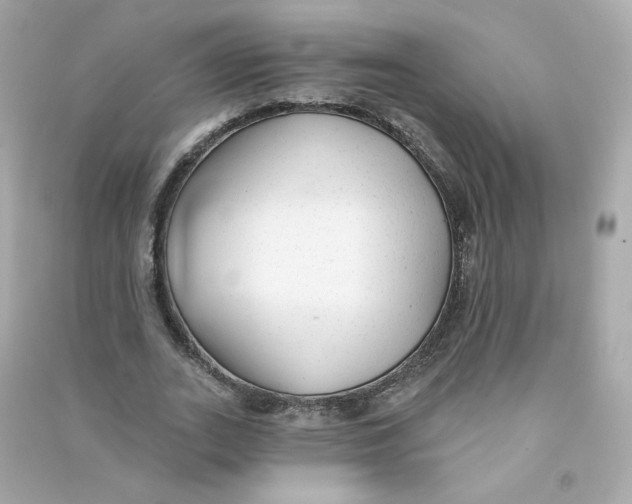 X0000090460727200708102110