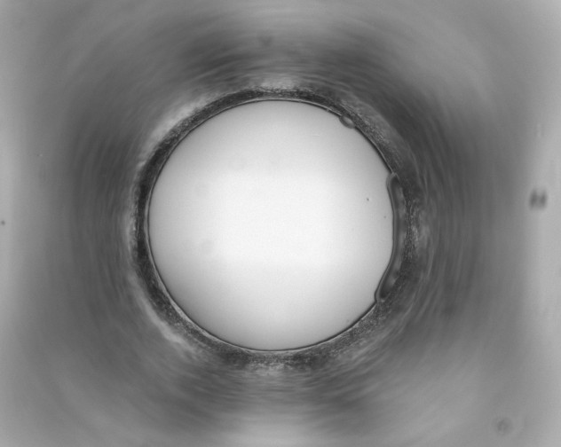 X0000090460728200708102110