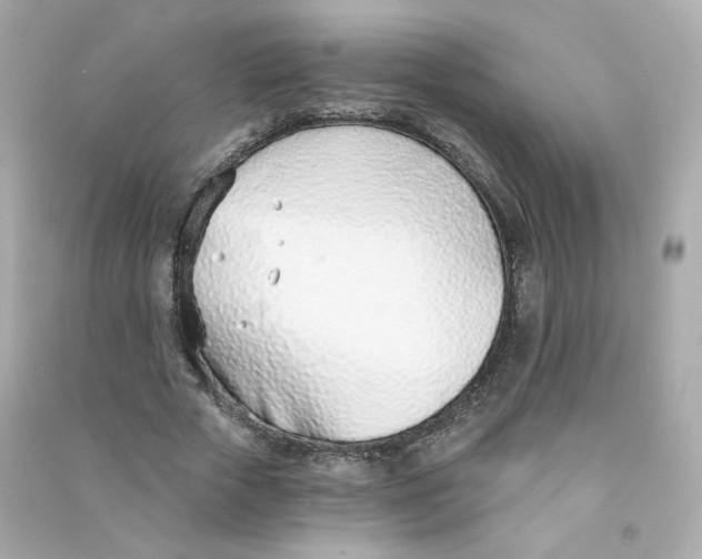 X0000090460729200708102110