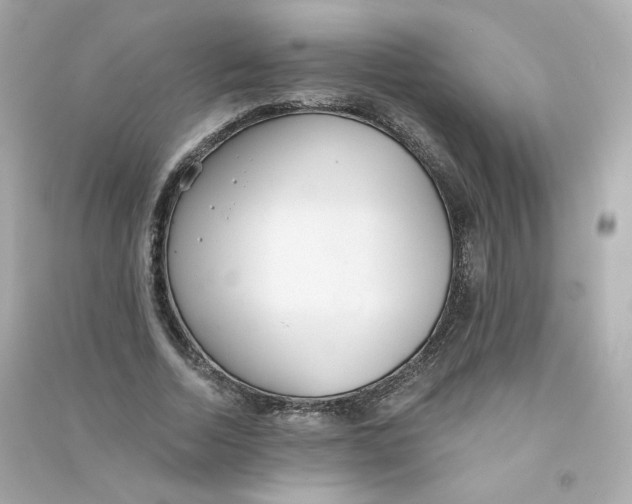 X0000090460730200708102110
