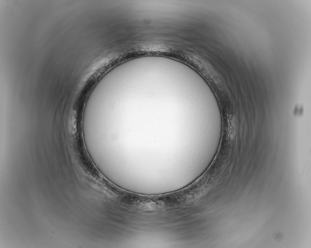 X0000090460731200708102110