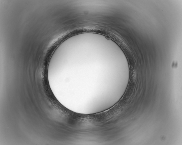 X0000090460732200708102110