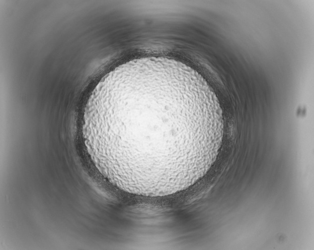 X0000090460733200708102110