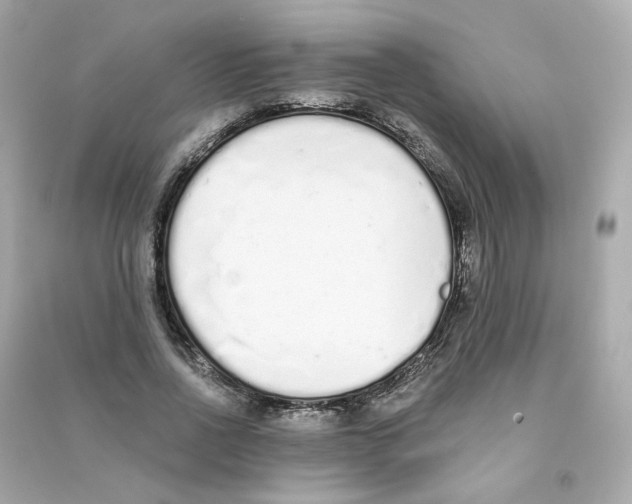 X0000090460734200708102110