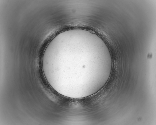 X0000090460735200708102110