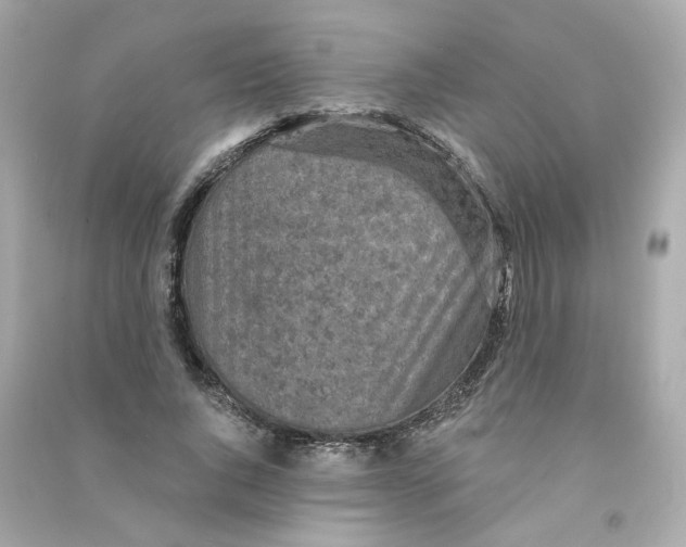 X0000090460736200708102110