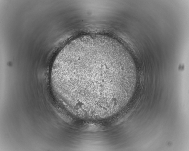 X0000090460737200708102110