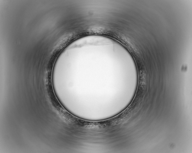 X0000090460738200708102111