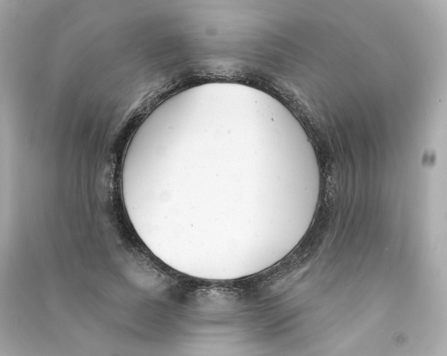 X0000090460739200708102111
