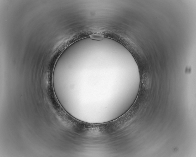 X0000090460740200708102111
