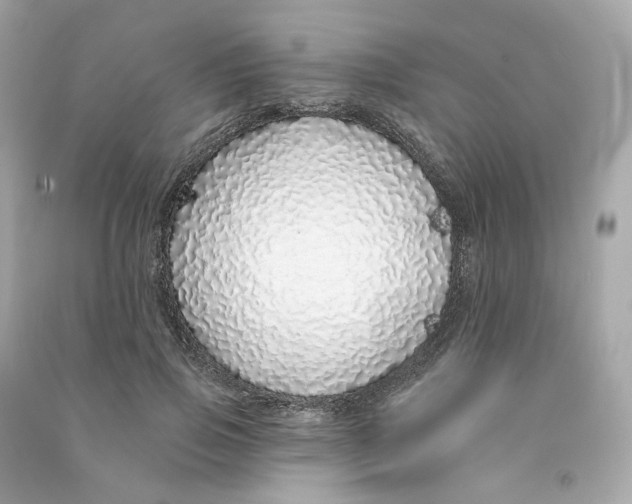 X0000090460741200708102111