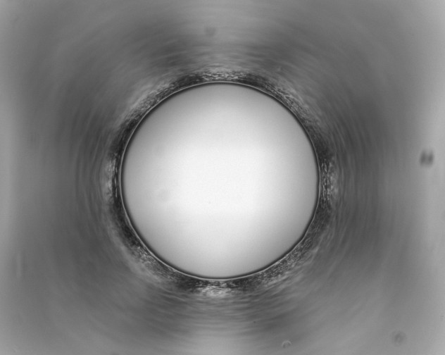X0000090460742200708102111