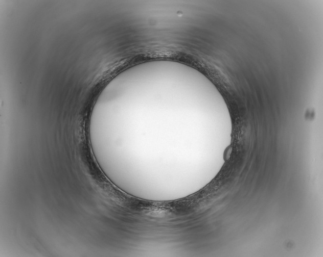 X0000090460743200708102111