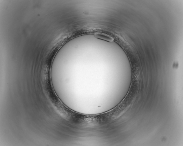 X0000090460744200708102111