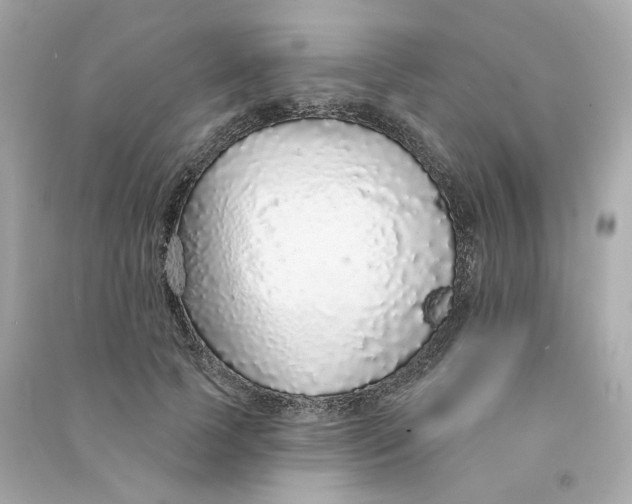 X0000090460745200708102111