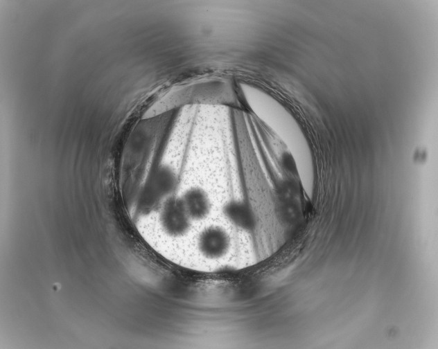 X0000090460748200708102111